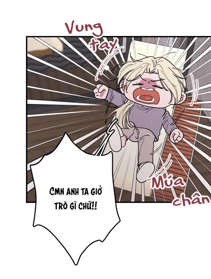 Hộp Bánh Quy Định Mệnh: Chapter 46