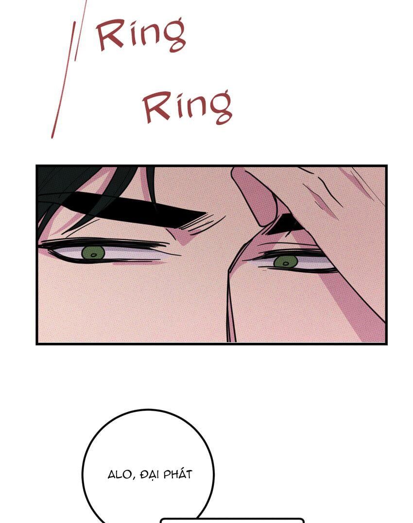 Hộp Bánh Quy Định Mệnh: Chapter 46