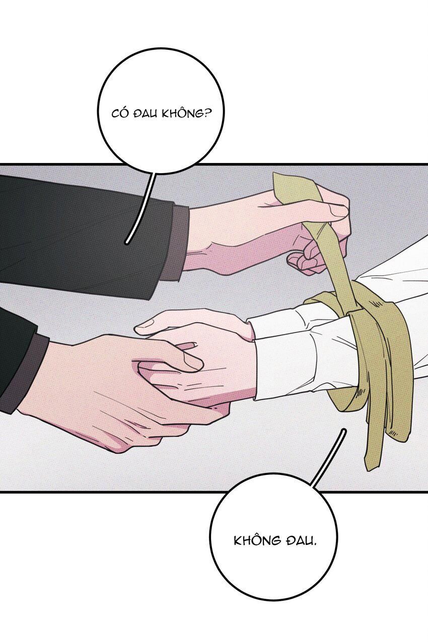 Hộp Bánh Quy Định Mệnh: Chapter 47