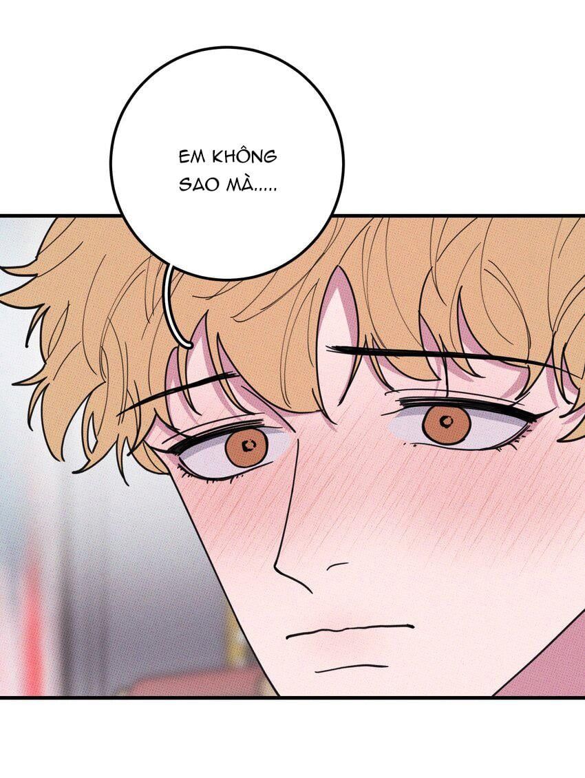 Hộp Bánh Quy Định Mệnh: Chapter 47