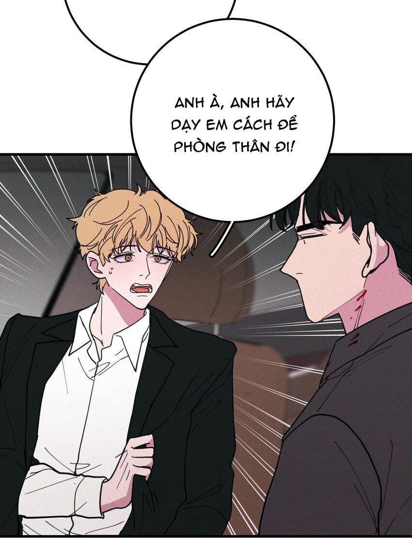 Hộp Bánh Quy Định Mệnh: Chapter 47