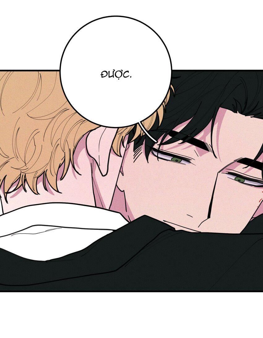 Hộp Bánh Quy Định Mệnh: Chapter 47