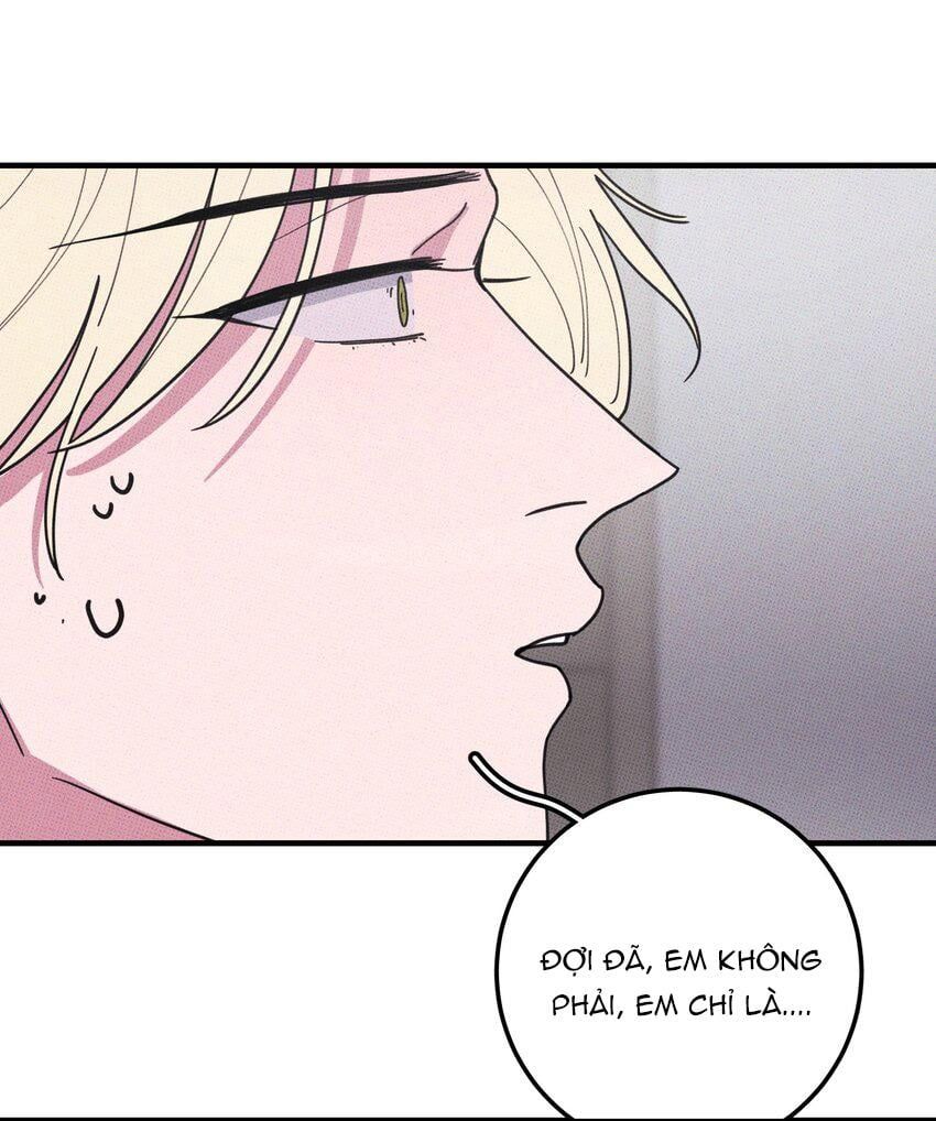 Hộp Bánh Quy Định Mệnh: Chapter 47