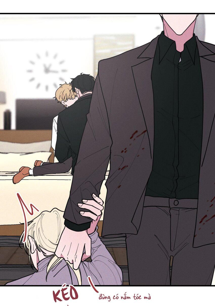 Hộp Bánh Quy Định Mệnh: Chapter 47