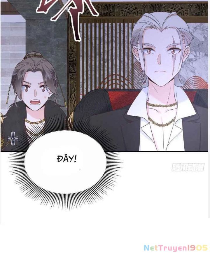 Hotboy Quốc Dân Là Nữ: Chapter 484