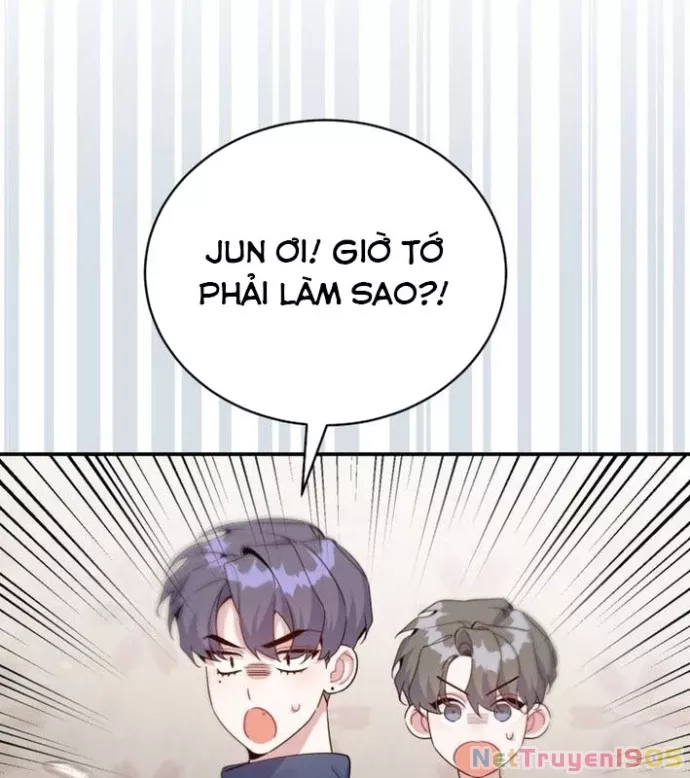 Hướng Dẫn Hồi Quy Dành Cho Thần Tượng: Chapter 48