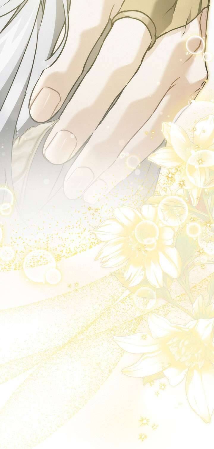 Hướng Về Ánh Dương Lần Nữa: Chapter 114