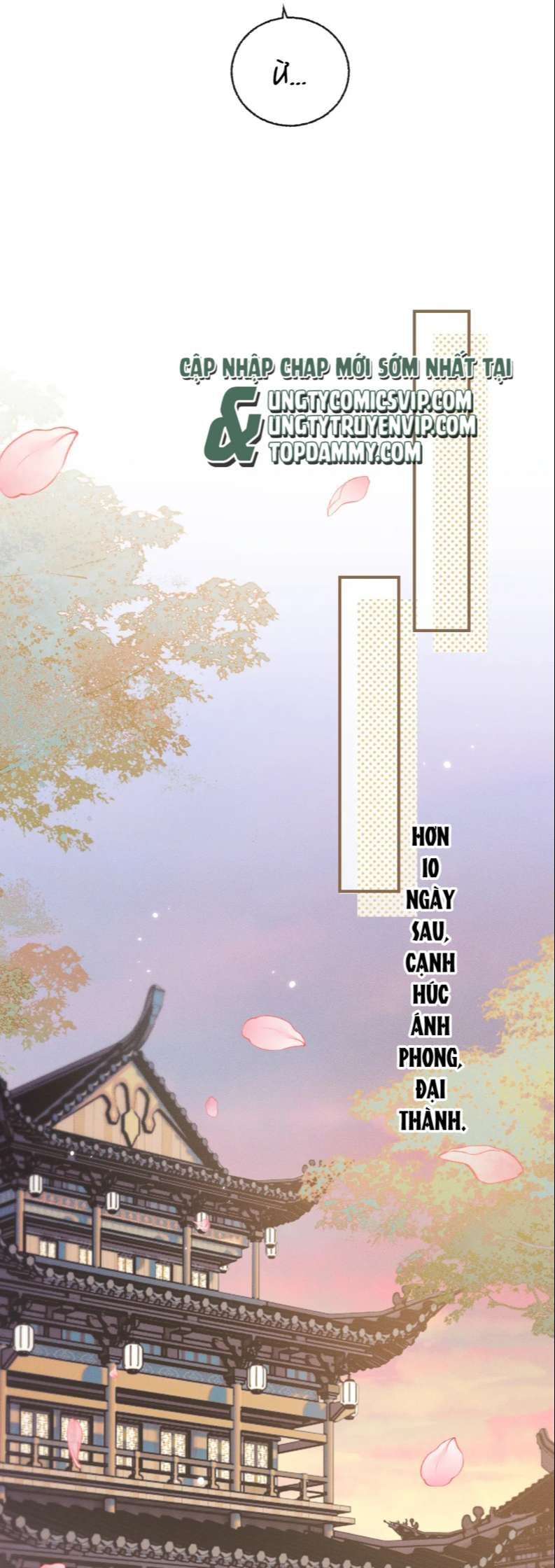 Husky Và Sư Tôn Mèo Trắng Của Hắn: Chapter 40