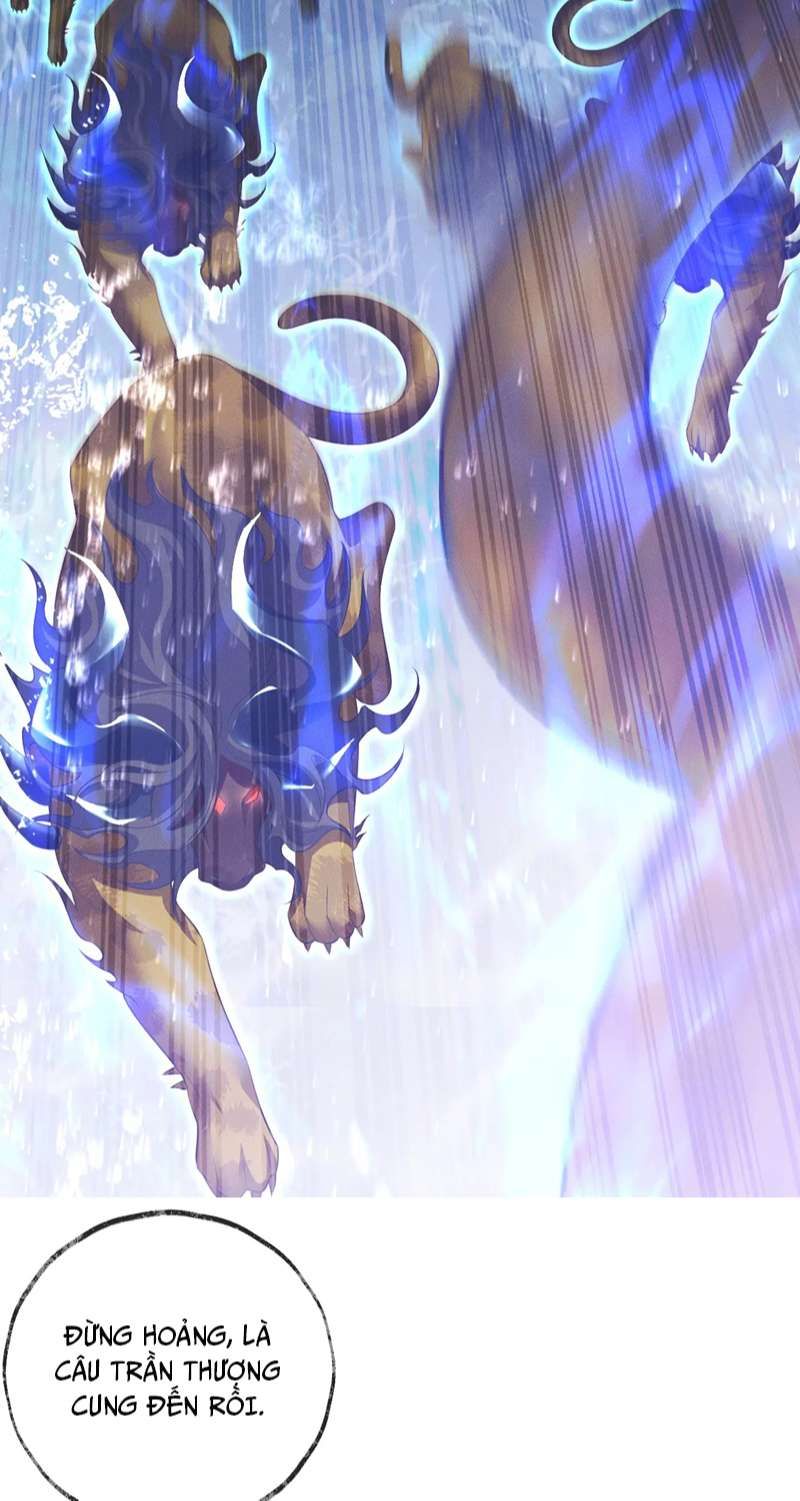 Husky Và Sư Tôn Mèo Trắng Của Hắn: Chapter 48