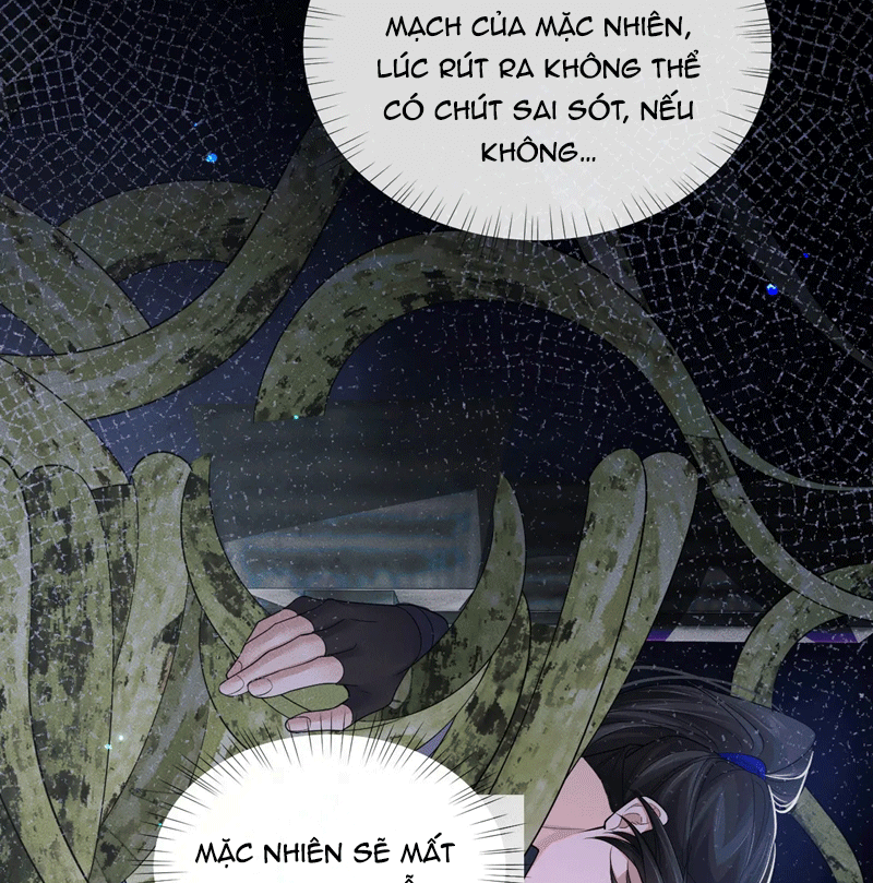 Husky Và Sư Tôn Mèo Trắng Của Hắn: Chapter 63