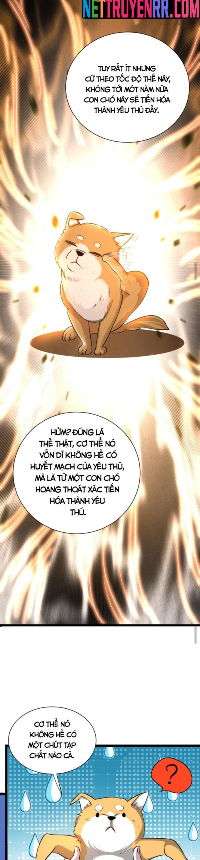 Huyền Huyễn: Ta bắt đầu vô địch từ bại gia: Chapter 15