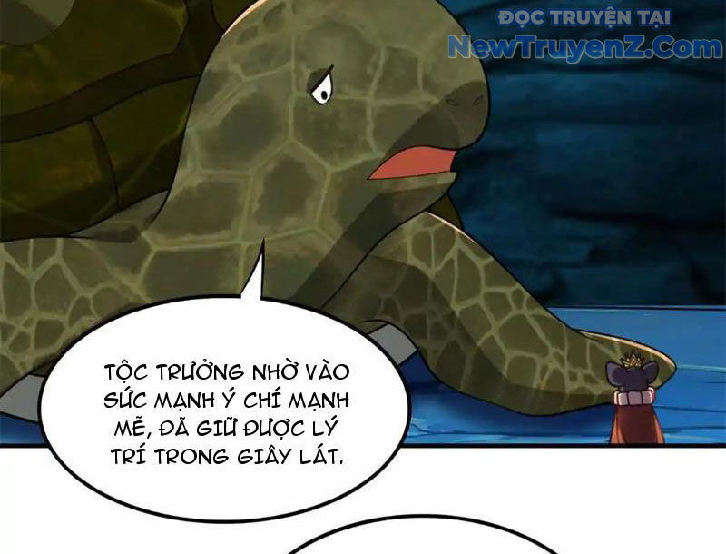 Huyễn Thú Của Ta Có Thể Tiến Hoá Vô Hạn: Chapter 27