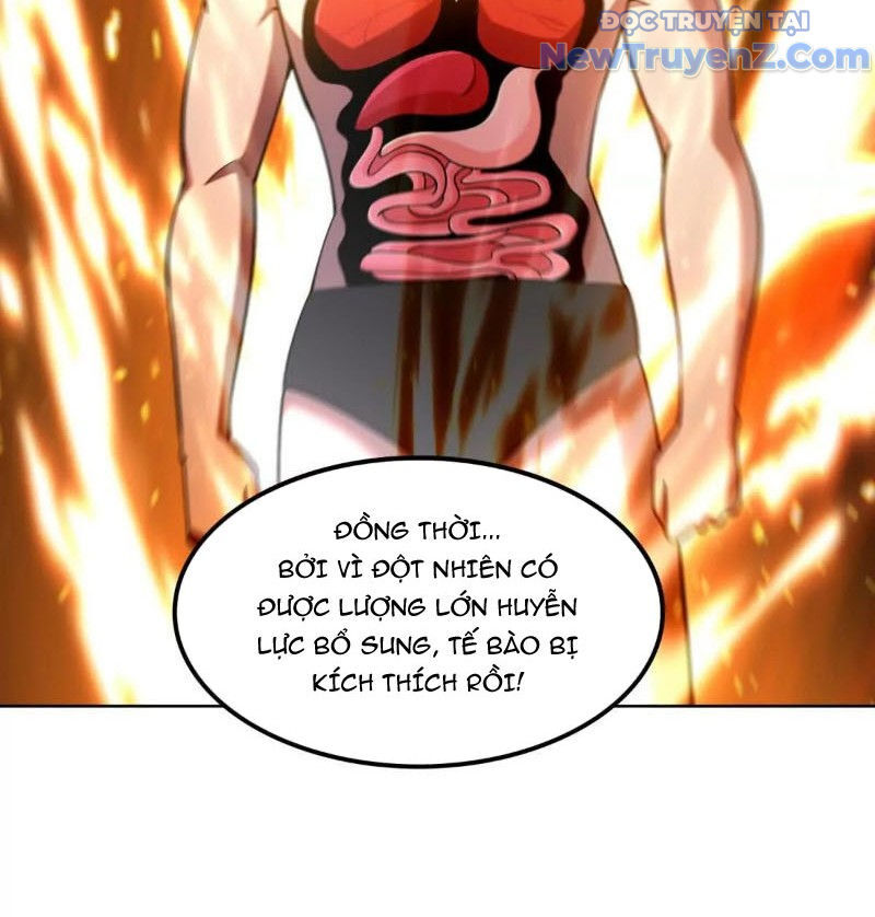 Huyễn Thú Của Ta Có Thể Tiến Hoá Vô Hạn: Chapter 29
