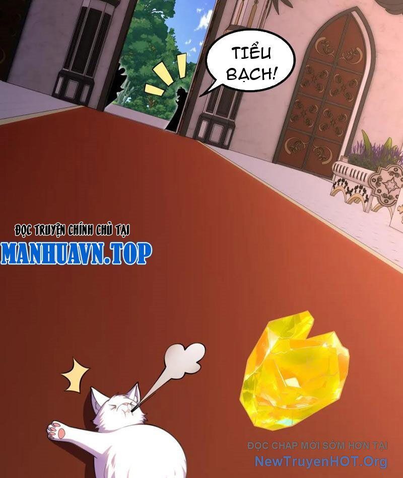 Huyễn Thú Của Ta Có Thể Tiến Hoá Vô Hạn: Chapter 46