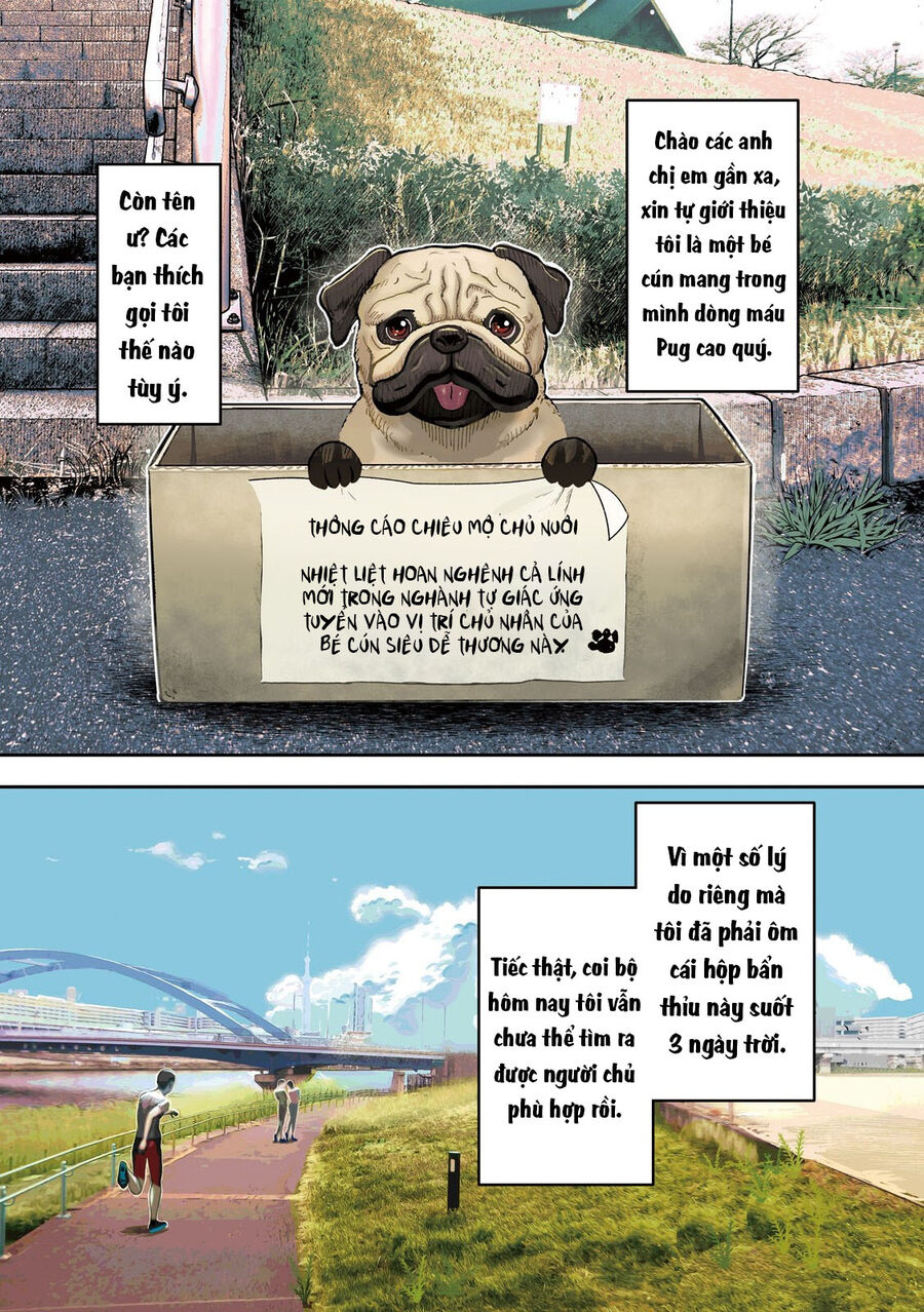 Innu - Chú Chó Bá Đạo: Chapter 1