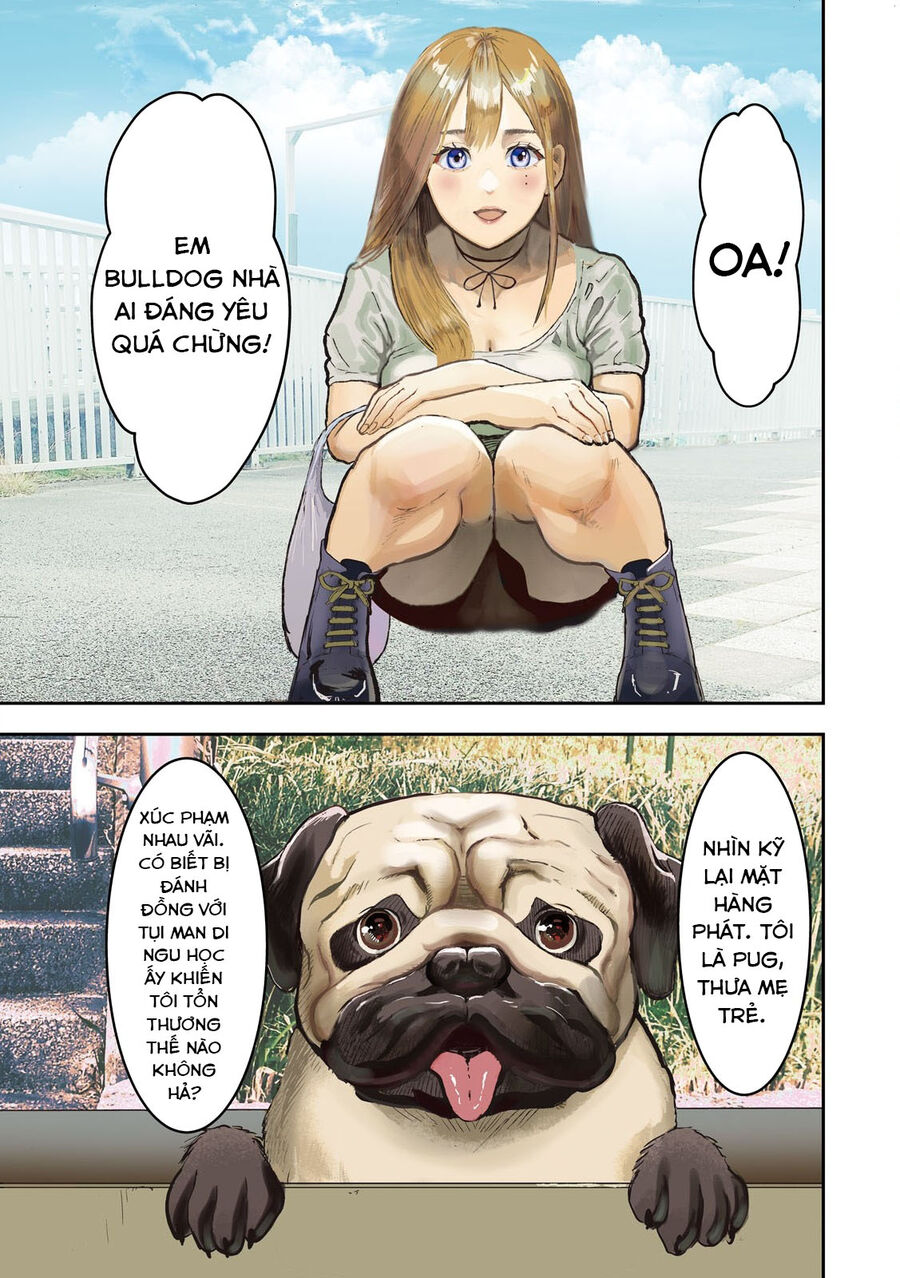 Innu - Chú Chó Bá Đạo: Chapter 1