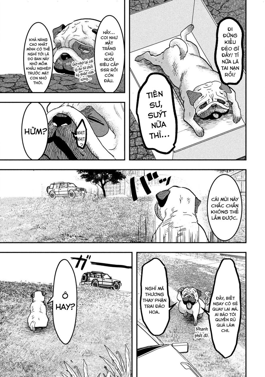 Innu - Chú Chó Bá Đạo: Chapter 1