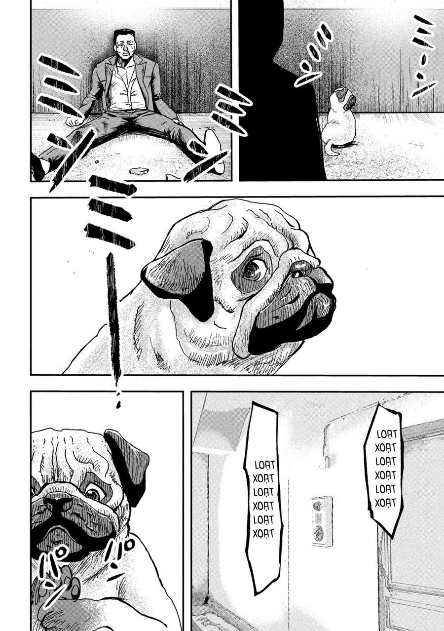 Innu - Chú Chó Bá Đạo: Chapter 2