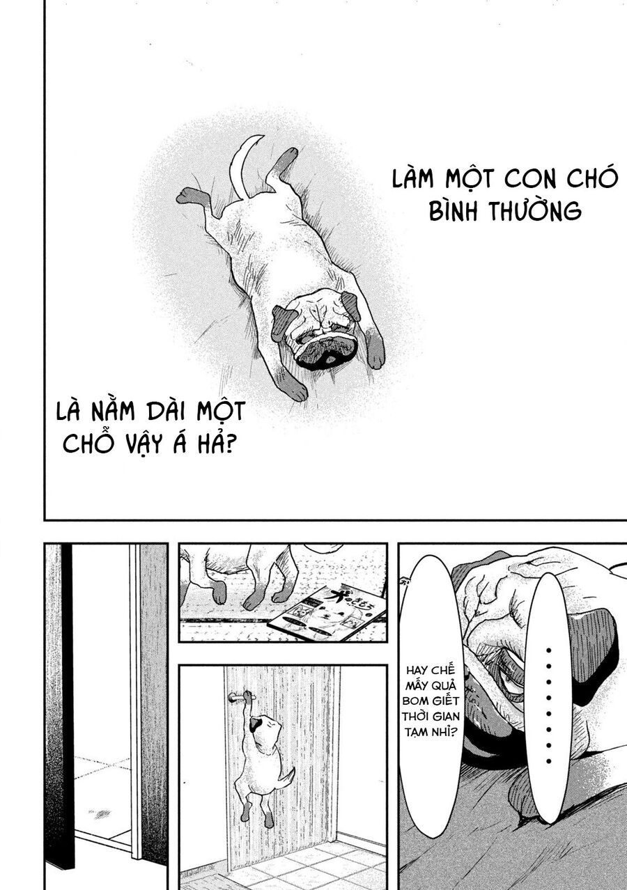 Innu - Chú Chó Bá Đạo: Chapter 2