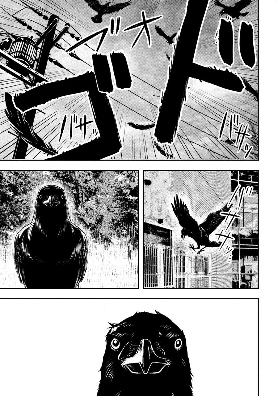 Innu - Chú Chó Bá Đạo: Chapter 3