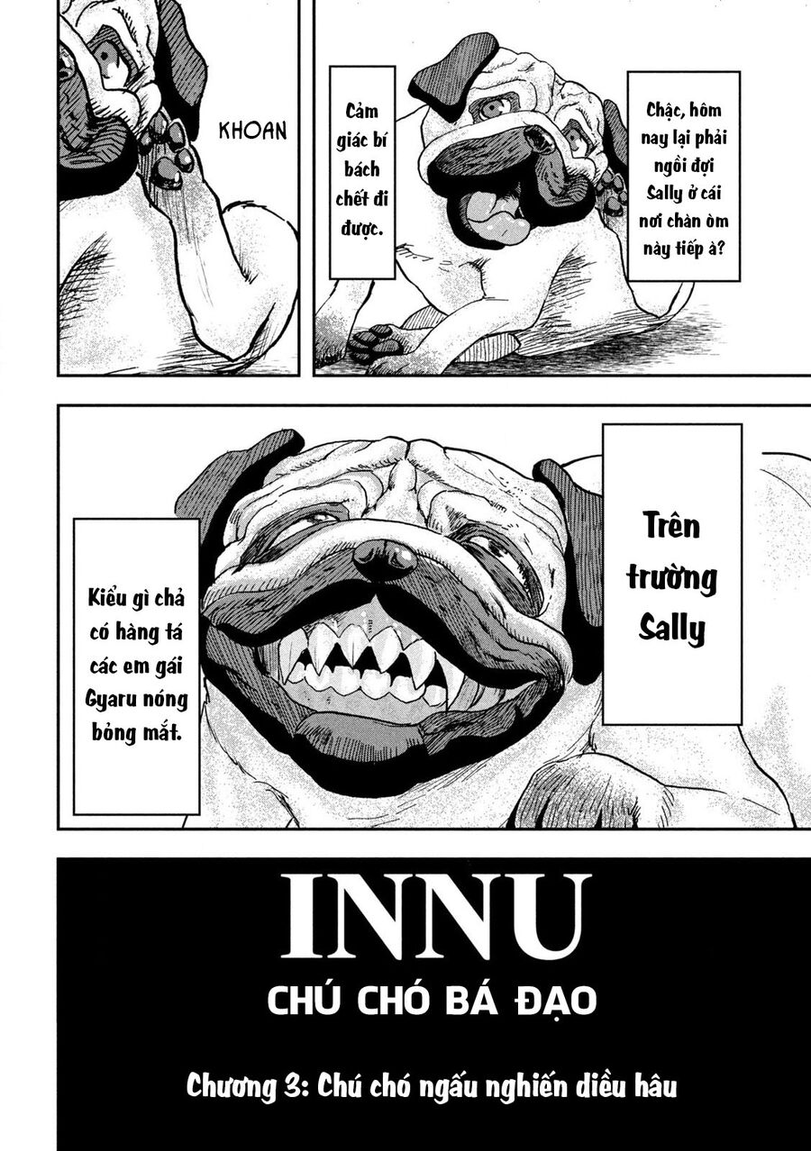 Innu - Chú Chó Bá Đạo: Chapter 3