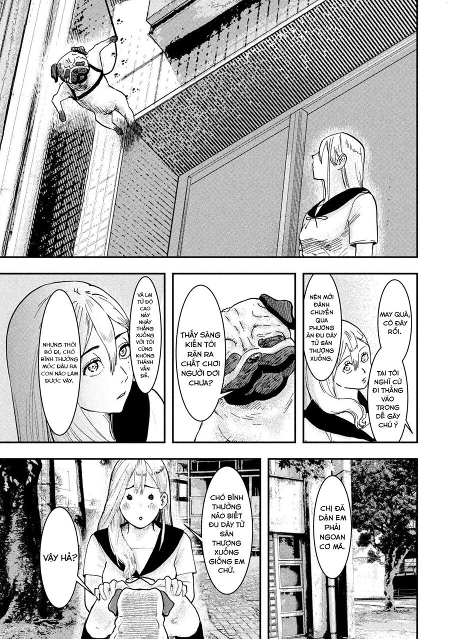 Innu - Chú Chó Bá Đạo: Chapter 3