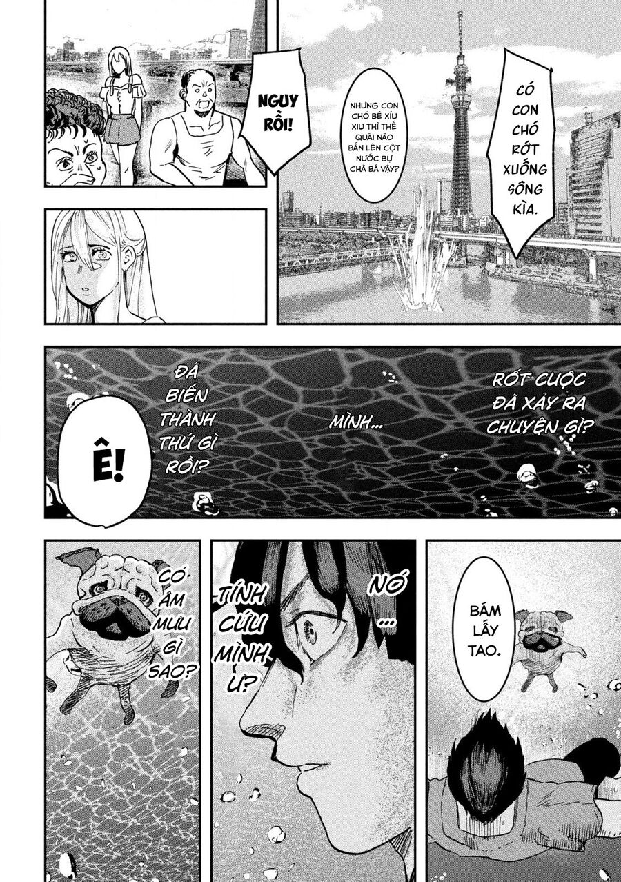Innu - Chú Chó Bá Đạo: Chapter 4