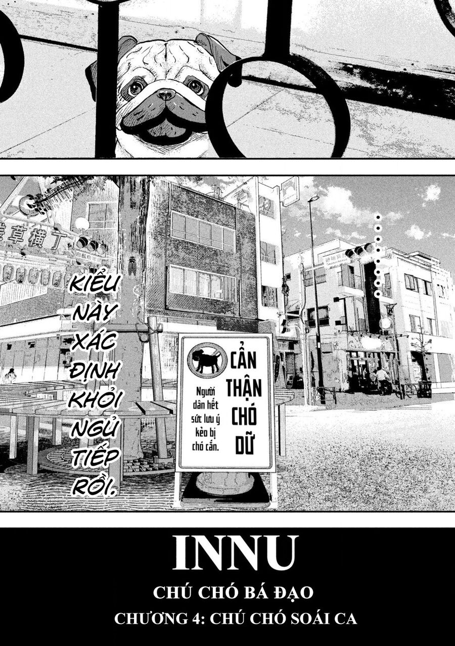Innu - Chú Chó Bá Đạo: Chapter 4
