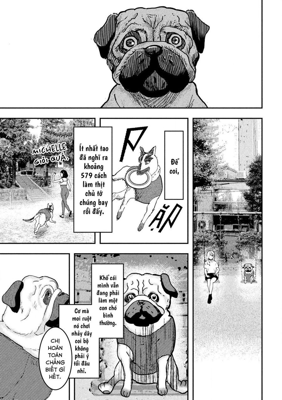 Innu - Chú Chó Bá Đạo: Chapter 5