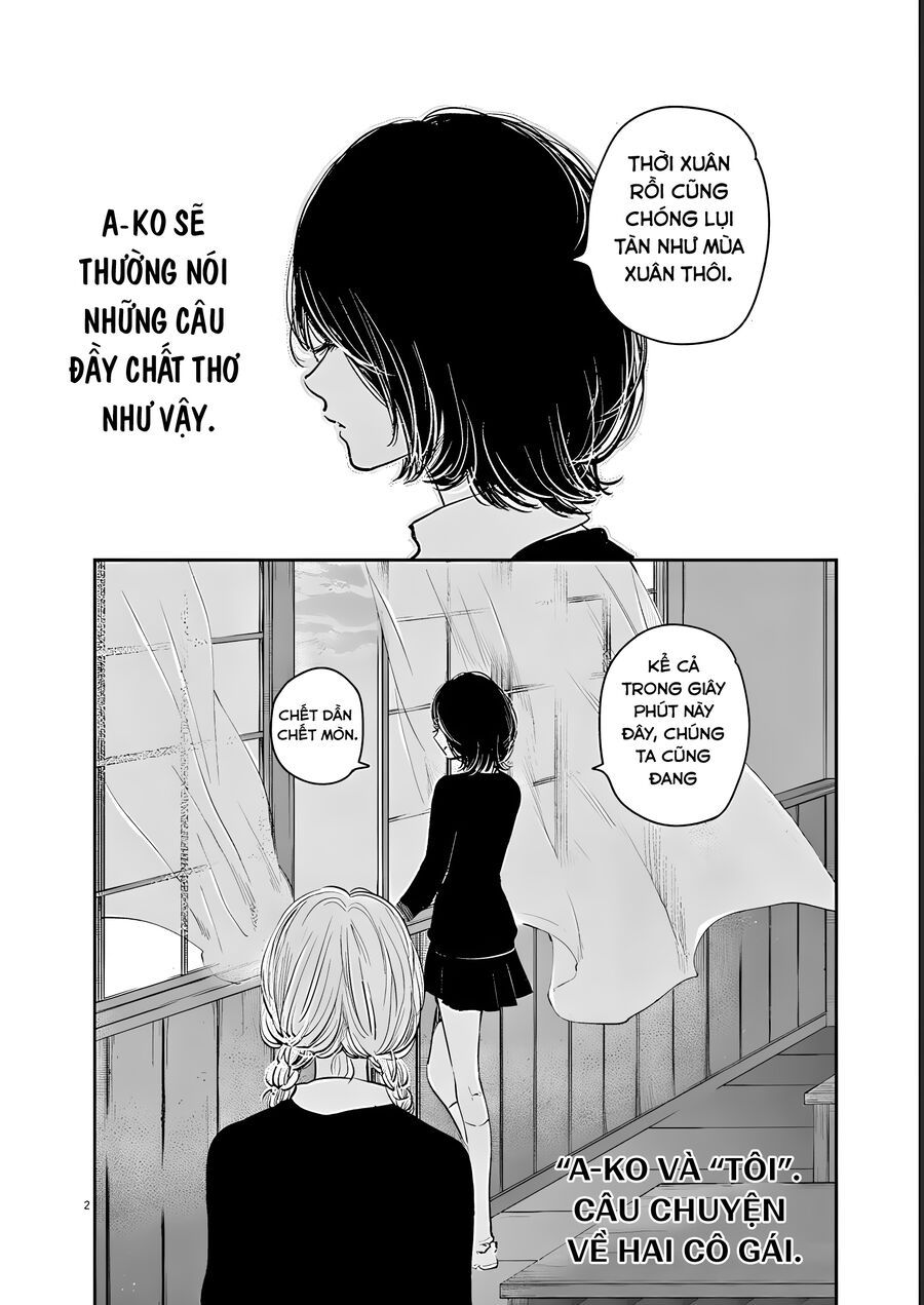 Isshou Sukitte Yutta Jan: Chapter 5