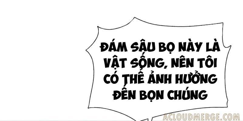 Kẻ Tàn Nhẫn Ngày Tận Thế: Bắt Đầu Dự Trữ Hàng Tỷ Tấn Vật Tư: Chapter 75