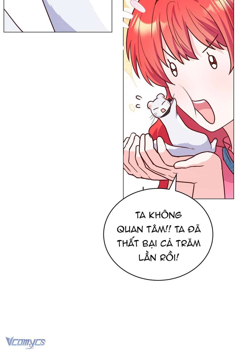 Kết Thúc Viên Mãn Không Cần Tình Yêu: Chapter 4