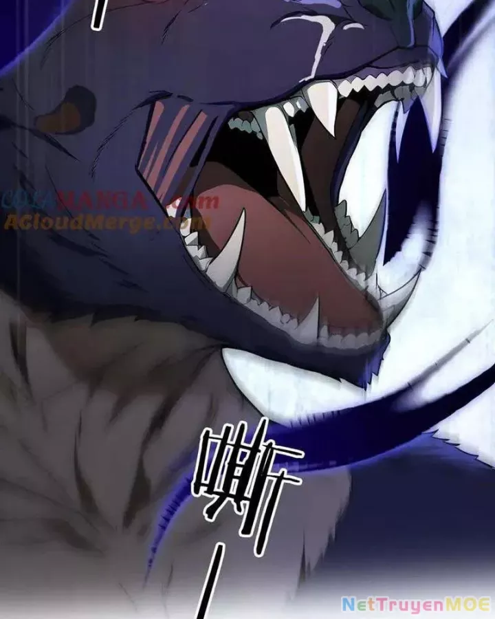 Khắp Thần Giới: Ta Hiến Tế Hàng Vạn Sinh Linh Trở Thành Thần: Chapter 96