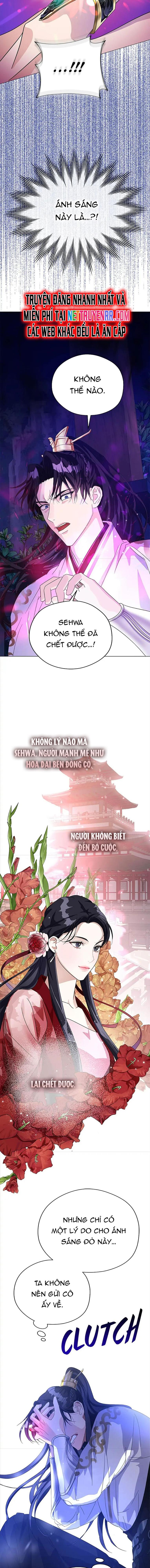 Khi Hắc Nguyệt Trỗi Dậy: Chapter 2