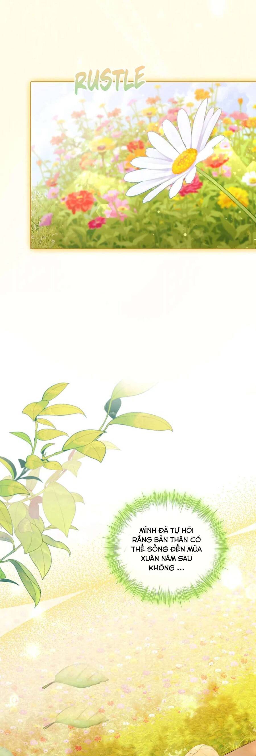 Không Cần Hối Hận: Chapter 2