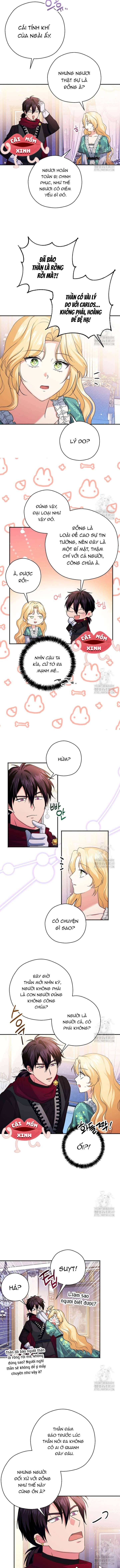 Không Cần Sự Ám Ảnh Của Bạo Chúa: Chapter 15
