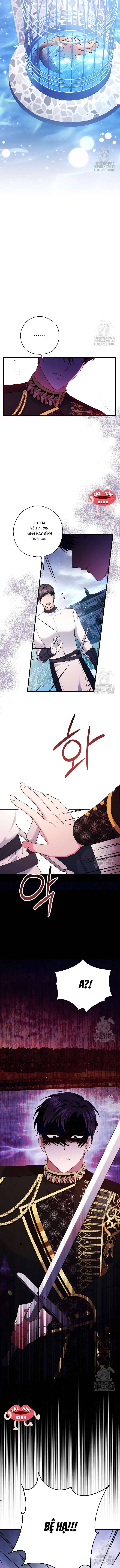 Không Cần Sự Ám Ảnh Của Bạo Chúa: Chapter 6