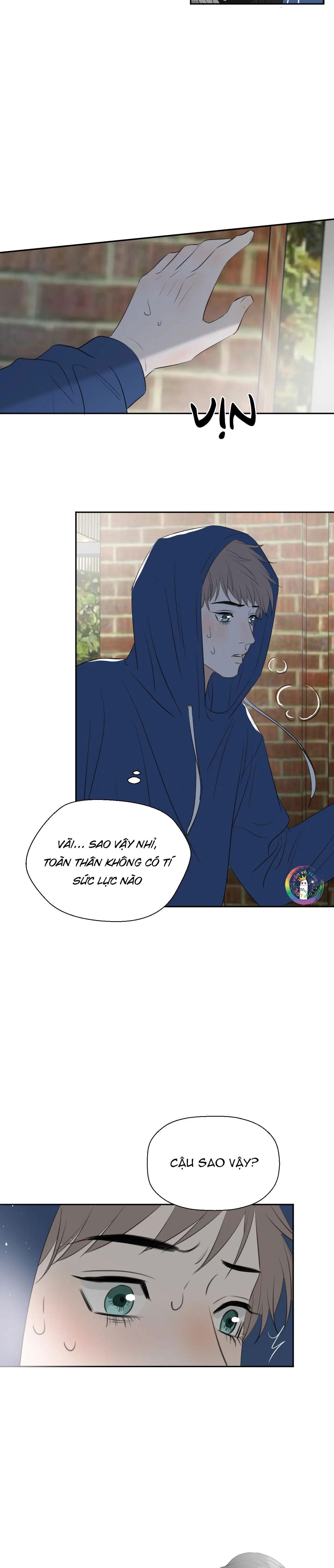 Không Tỳ Vết: Chapter 22