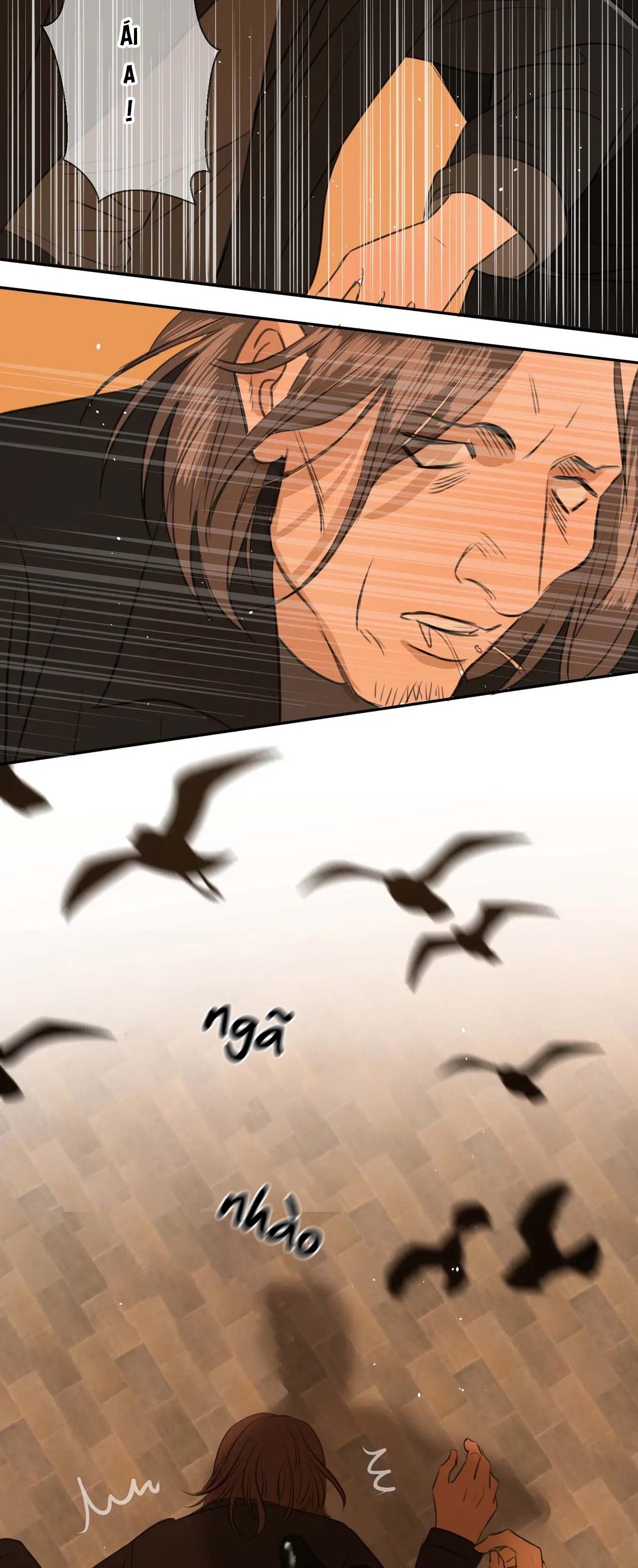 Không Tỳ Vết: Chapter 23