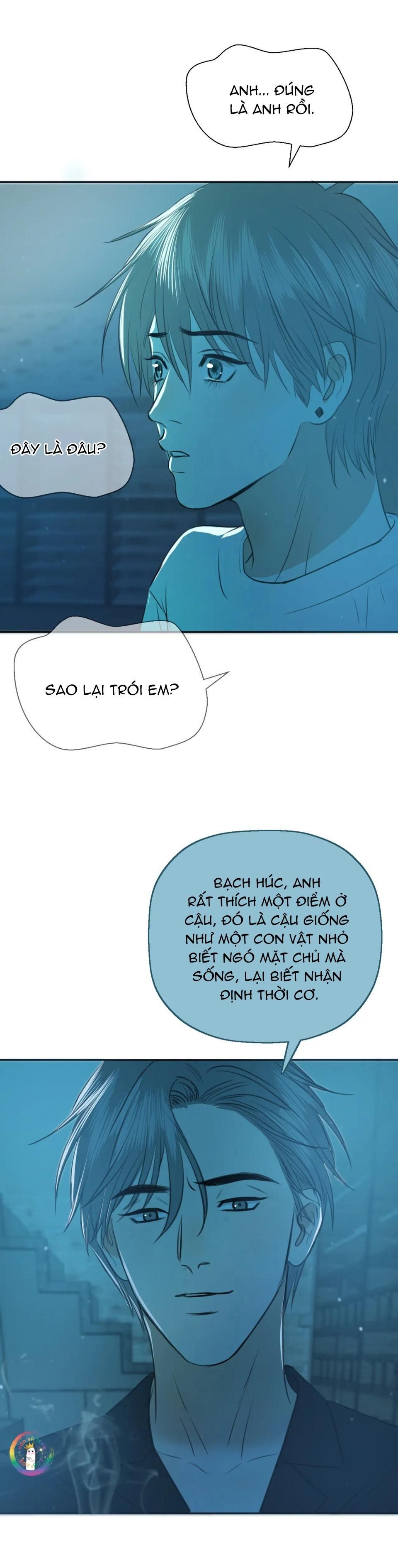 Không Tỳ Vết: Chapter 28