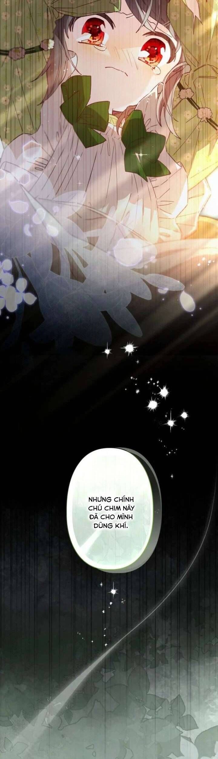 Kiếp Này Em Sẽ Không Sống Dưới Cái Bóng Của Người Chị Song Sinh: Chapter 6