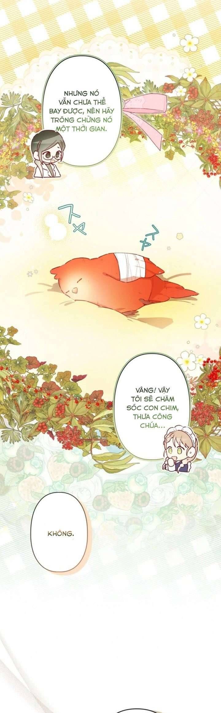 Kiếp Này Em Sẽ Không Sống Dưới Cái Bóng Của Người Chị Song Sinh: Chapter 6