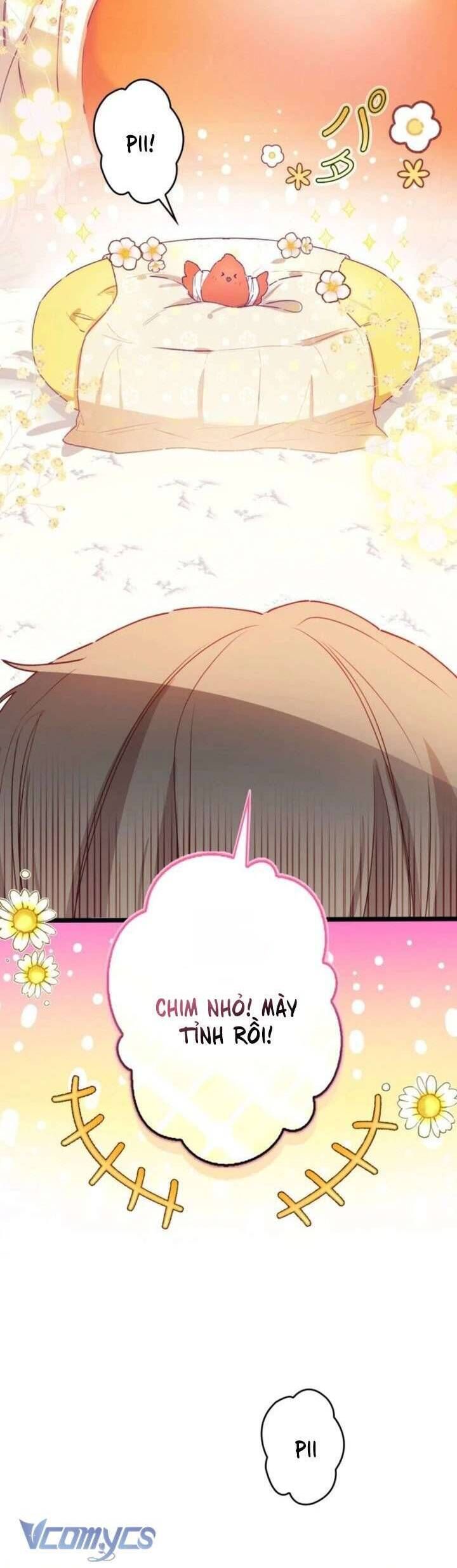 Kiếp Này Em Sẽ Không Sống Dưới Cái Bóng Của Người Chị Song Sinh: Chapter 6