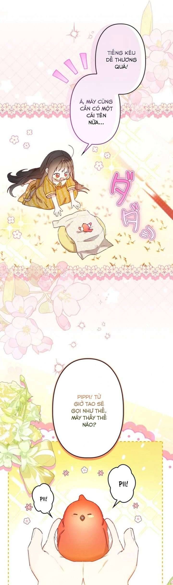 Kiếp Này Em Sẽ Không Sống Dưới Cái Bóng Của Người Chị Song Sinh: Chapter 6