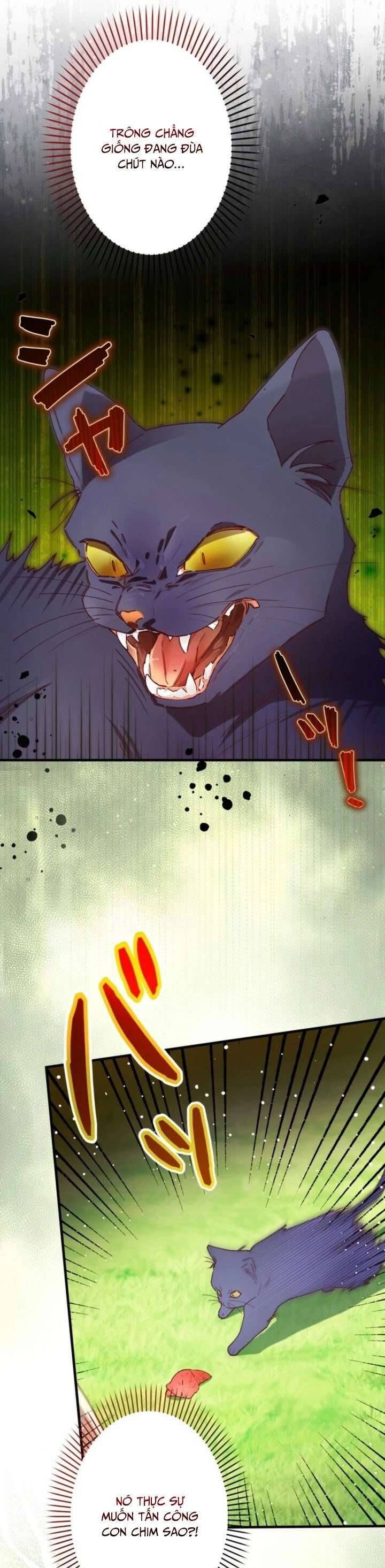 Kiếp Này Em Sẽ Không Sống Dưới Cái Bóng Của Người Chị Song Sinh: Chapter 6