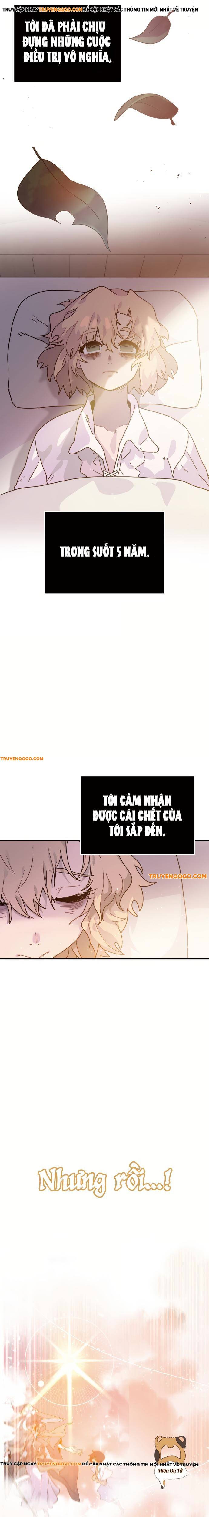 Kiếp Thứ Hai Sống Chữa Lành: Chapter 1
