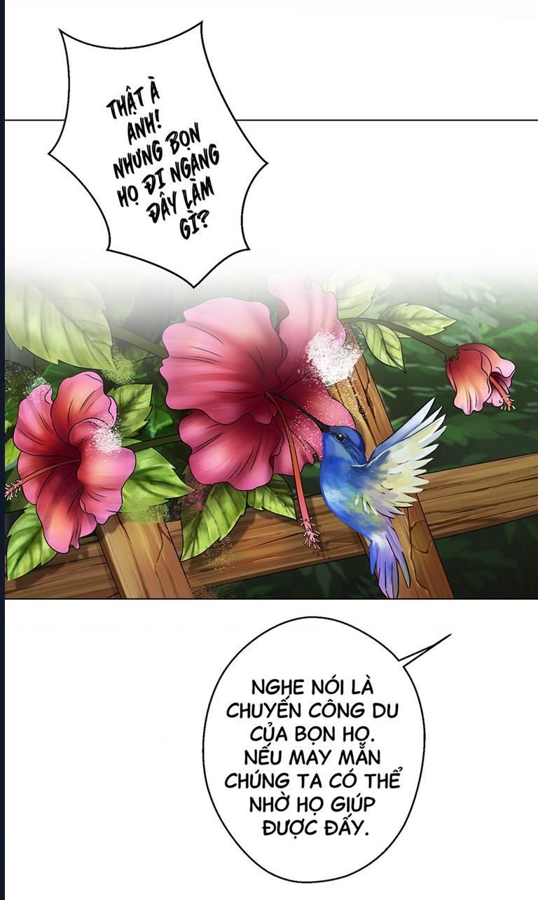 Kinhcomic Phù Thủy Kiến Tạo | Sự Trỗi Dậy Của Loài Pan: Chapter 1