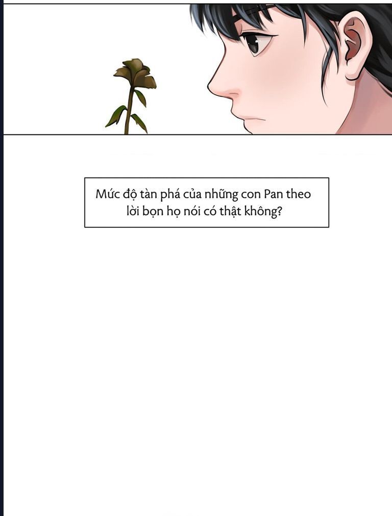 Kinhcomic Phù Thủy Kiến Tạo | Sự Trỗi Dậy Của Loài Pan: Chapter 2