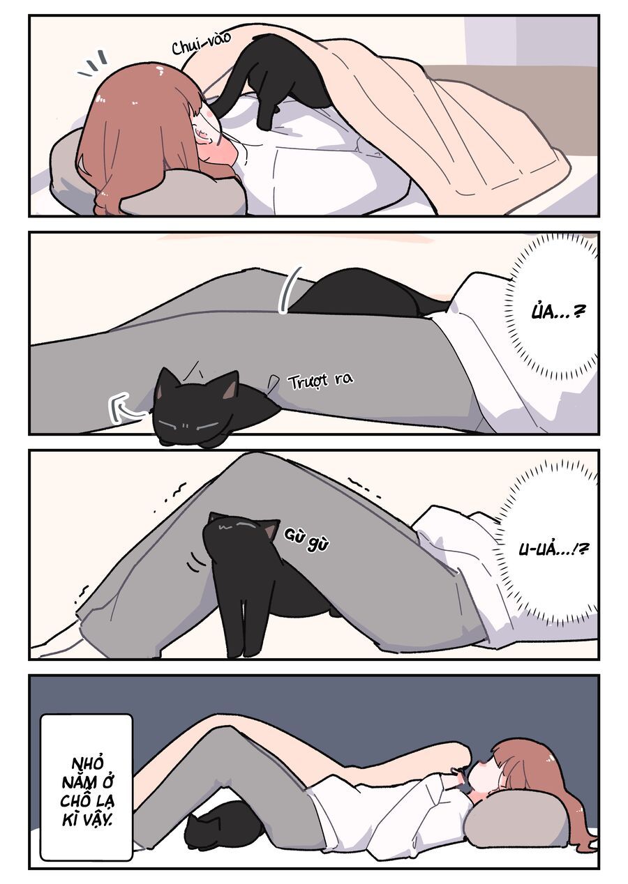 Kuroneko No Ohanashi: Chapter 5