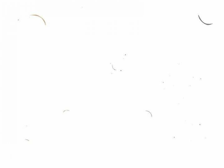 Ký Sự Hồi Quy: Chapter 42